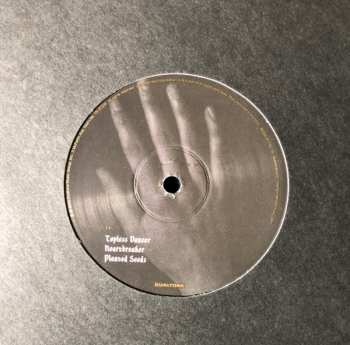 2LP Noah Gundersen: Carry The Ghost