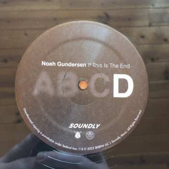 2LP Noah Gundersen: If This Is The End CLR | LTD 483161