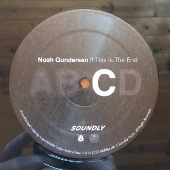 2LP Noah Gundersen: If This Is The End CLR | LTD 483161