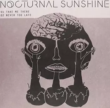 Nocturnal Sunshine: Take Me There