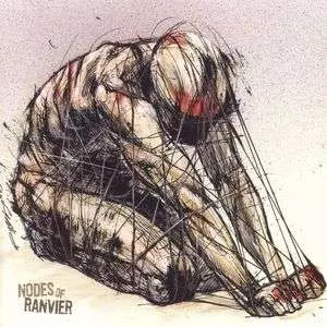 Nodes Of Ranvier: Nodes Of Ranvier