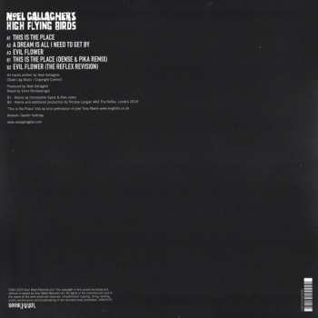 LP Noel Gallagher's High Flying Birds: This Is The Place 239530