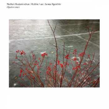 Album Norbert Rodenkirchen: Rodenkirchen / Lee / Ilgenfritz - Opalescence