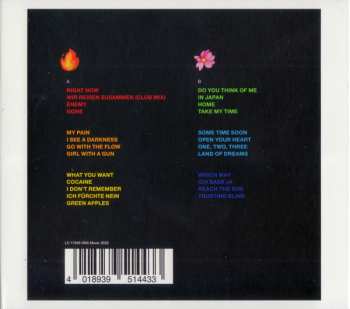 2CD Northern Lite: 25 Years