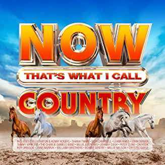 Album Now That's What I Call Country / Various: Now That's What I Call Country