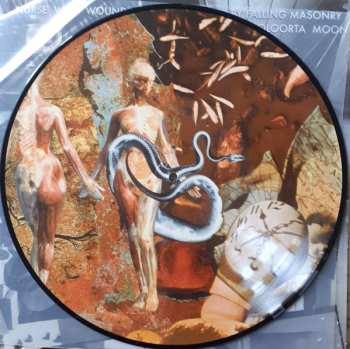 LP Nurse With Wound: Brained By Falling Masonry / Cooloorta Moon PIC 459906