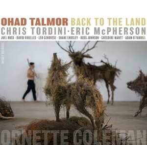 Album Ohad Talmor: Back To The Land