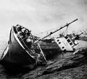 Album Oiseaux-Tempête: Ütopiya?