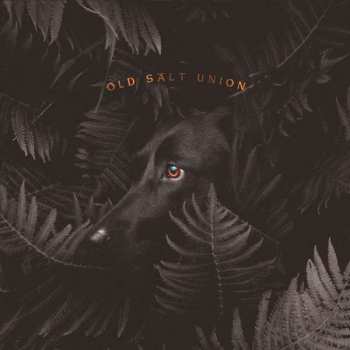 CD Old Salt Union: Where The Dogs Don't Bite 97498
