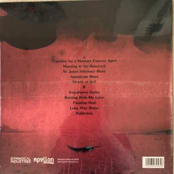LP Ole Devil & the Spirit Chasers: Apocalypse Blues 493182
