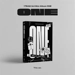 Oneteam: One -this Version-