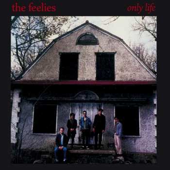 Album The Feelies: Only Life
