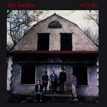 The Feelies: Only Life