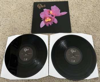 2LP Opeth: Orchid 378599