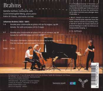 CD Ophélie Gaillard: Brahms 446382