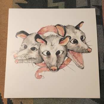Album Opossums: Opossums