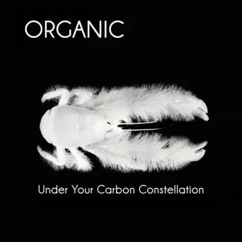 Organic: Under Your Carbon Constellation