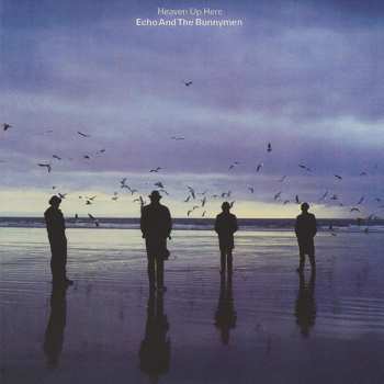5CD/Box Set Echo & The Bunnymen: Original Album Series 26838