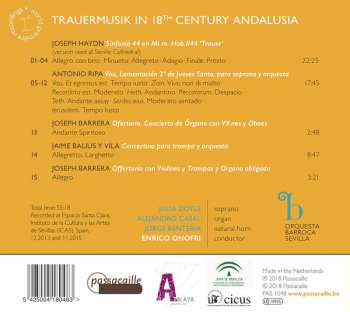CD Orquesta Barroca De Sevilla: Trauermusik: Haydn In Sevilla 312185