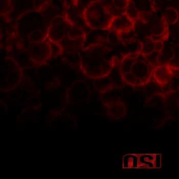 OSI: Blood