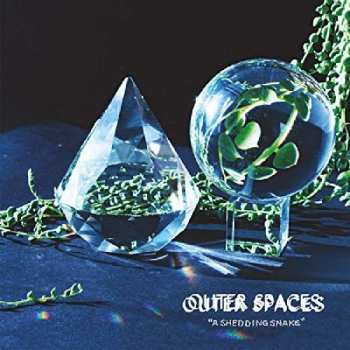 Album Outer Spaces: A Shedding Snake