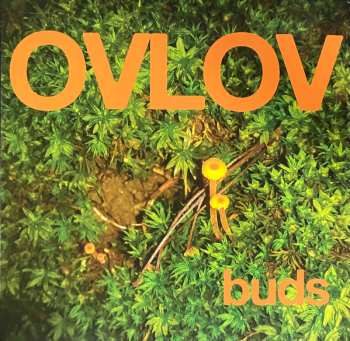 Album Ovlov: Buds