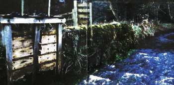 CD/DVD Ozric Tentacles: Jurassic Shift