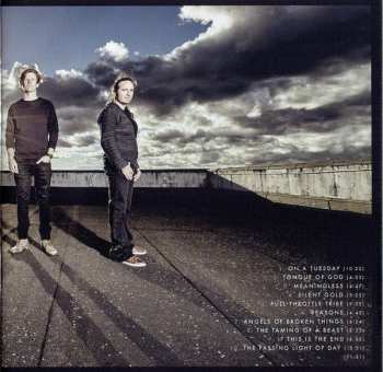CD Pain Of Salvation: In The Passing Light Of Day 17759