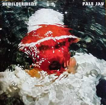 Album Pale Jay: Bewilderment