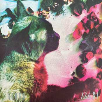 2LP Pale Saints: The Comforts Of Madness 30th Anniversary Re:Masters LTD | CLR