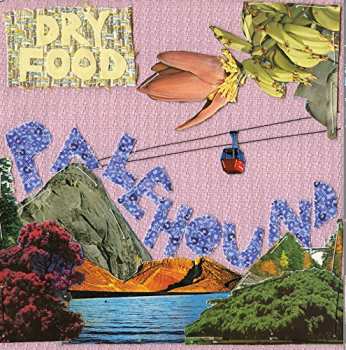 Album Palehound: Dry Food