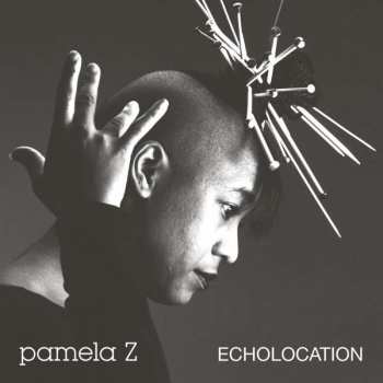 Album Pamela Z: Echolocation