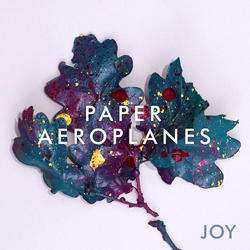 LP Paper Aeroplanes: Joy 424465