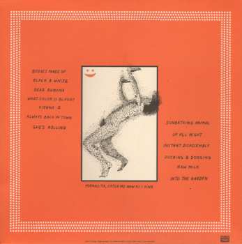 LP Parquet Courts: Sunbathing Animal