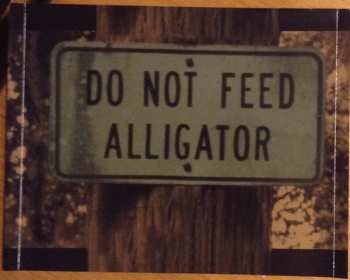 CD Pat Travers: Don't Feed The Alligators 10109