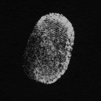 CD Patricia Brennan: More Touch