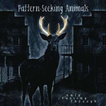 Album Pattern-Seeking Animals: Only Passing Through
