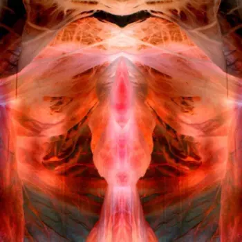 Paul Schütze: The Annihilating Angel; Or, The Surface Of The World