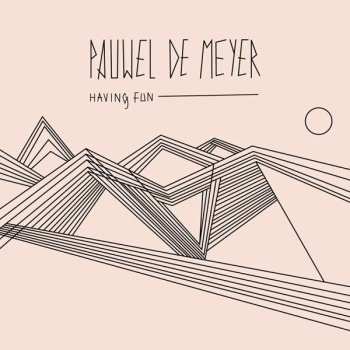 Album Pauwel De Meyer: Having Fun