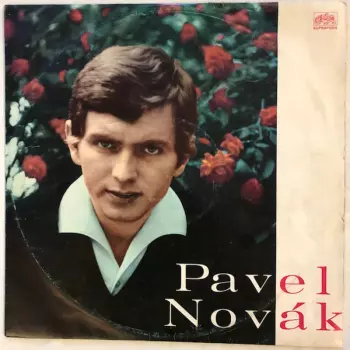 Pavel Novák: Pavel Novák