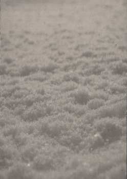 Album Paysage D'Hiver: Schnee