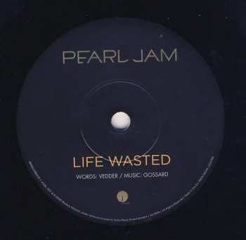 SP Pearl Jam: World Wide Suicide 40884