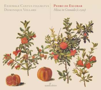 Album Pedro De Escobar: Missa in Granada c. 1520