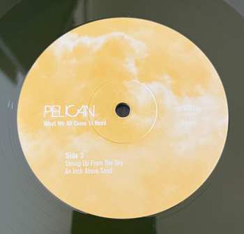2LP Pelican: What We All Come to Need