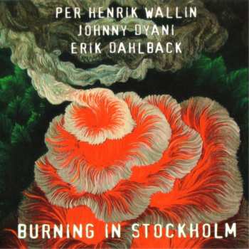 Per Henrik Wallin: Burning In Stockholm