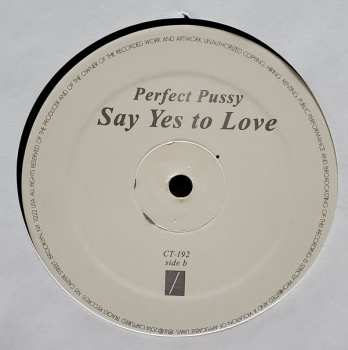 LP Perfect Pussy: Say Yes To Love 85240