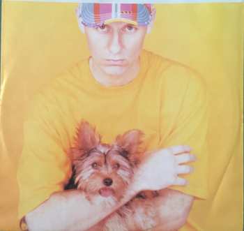 LP Pet Shop Boys: Introspective 543228