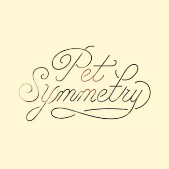 Pet Symmetry: Vision