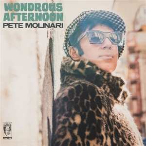 Album Pete Molinari: Wondrous Afternoon