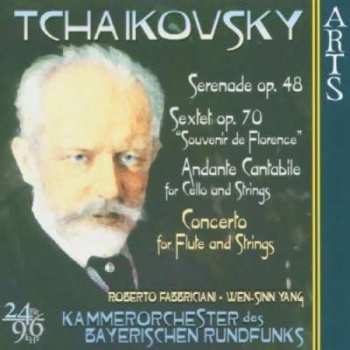 CD Peter Iljitsch Tschaikowsky: Serenade Für Streicher Op.48 349401